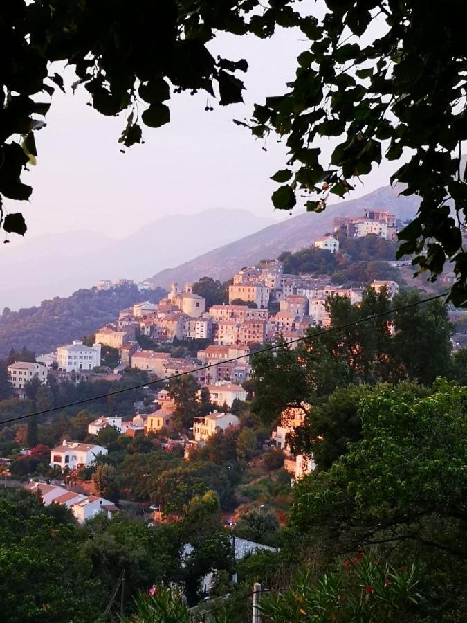 Villa Milanu Oletta  Buitenkant foto