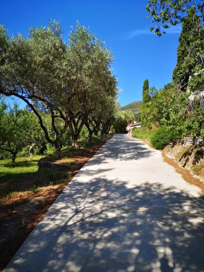 Villa Milanu Oletta  Buitenkant foto
