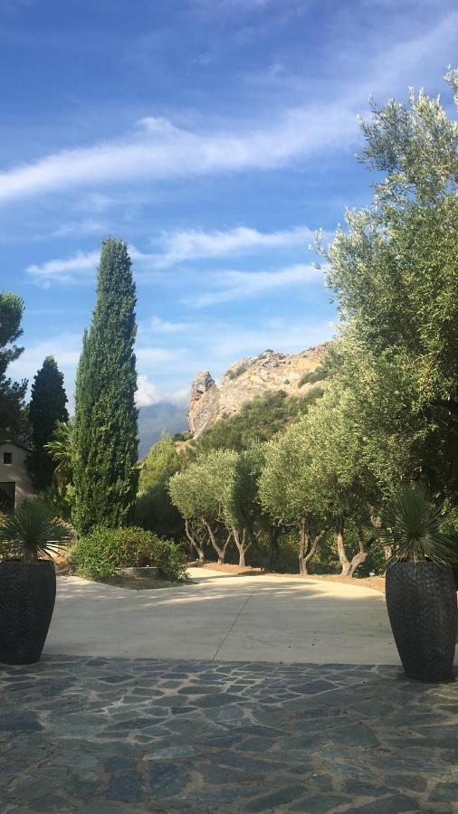 Villa Milanu Oletta  Buitenkant foto