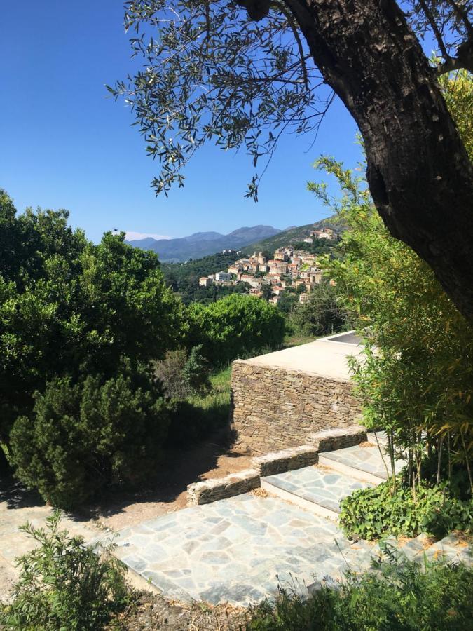 Villa Milanu Oletta  Buitenkant foto