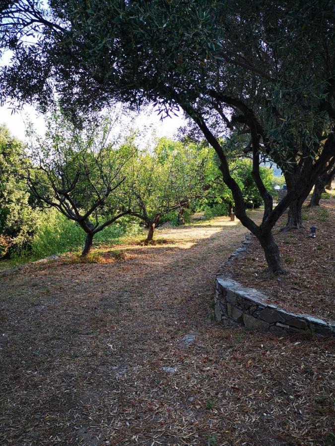 Villa Milanu Oletta  Buitenkant foto